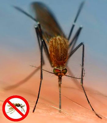 средства защиты от насекомых